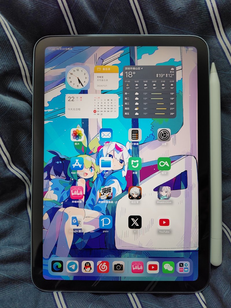 iPad mini